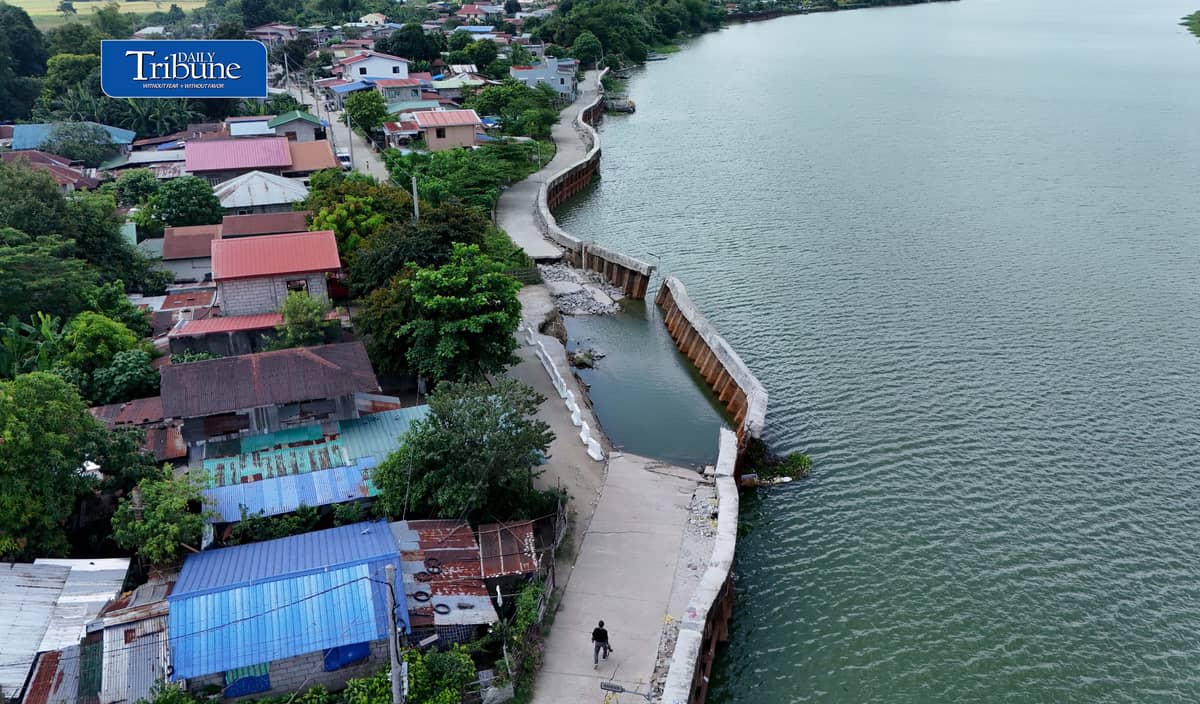 P96-M FLOOD CONTROL PROJECT REMAINS DAMAGED IN PAMPANGA
A damaged section of the P96-million San Mateo Flood Control Project in Barangay San Mateo, Arayat, Pampanga, remains untouched on Wednesday, 21 October, despite authorities' earlier commitment to remove the affected sheet piles.
Declared completed in 2024, the project partially collapsed this month after deficiencies were discovered involving 56 linear meters of sheet piles that reportedly failed to meet the required 36-meter depth.
The incident comes amid renewed scrutiny of government flood control spending following the Supreme Court's ruling declaring the Special Assistance for Government Infrastructure and Social Programs (SAGIP) provisions in the 2024 and 2025 national budgets unconstitutional.
The Court ruled that SAGIP improperly gave the executive branch authority to allocate funds for infrastructure projects after the budgets had been enacted.
Photo by Analy Labor | Daily Tribune
#DailyTribune