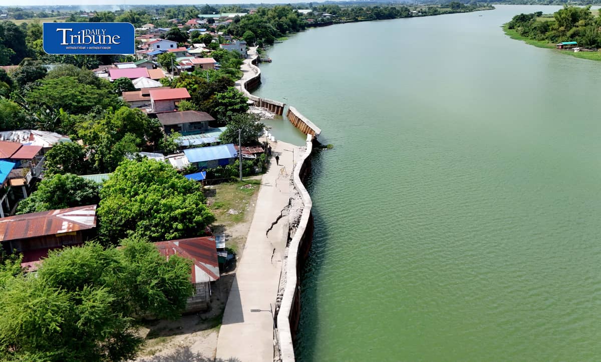 P96-M FLOOD CONTROL PROJECT REMAINS DAMAGED IN PAMPANGA
A damaged section of the P96-million San Mateo Flood Control Project in Barangay San Mateo, Arayat, Pampanga, remains untouched on Wednesday, 21 October, despite authorities' earlier commitment to remove the affected sheet piles.
Declared completed in 2024, the project partially collapsed this month after deficiencies were discovered involving 56 linear meters of sheet piles that reportedly failed to meet the required 36-meter depth.
The incident comes amid renewed scrutiny of government flood control spending following the Supreme Court's ruling declaring the Special Assistance for Government Infrastructure and Social Programs (SAGIP) provisions in the 2024 and 2025 national budgets unconstitutional.
The Court ruled that SAGIP improperly gave the executive branch authority to allocate funds for infrastructure projects after the budgets had been enacted.
Photo by Analy Labor | Daily Tribune
#DailyTribune