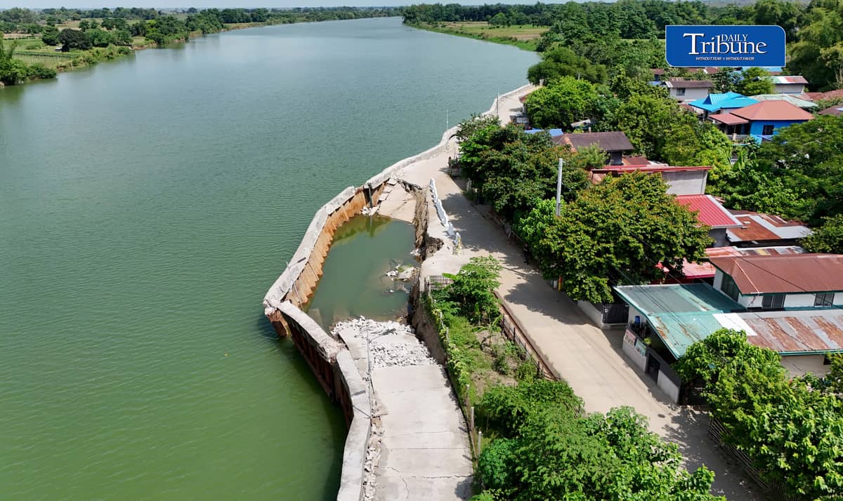 P96-M FLOOD CONTROL PROJECT REMAINS DAMAGED IN PAMPANGA
A damaged section of the P96-million San Mateo Flood Control Project in Barangay San Mateo, Arayat, Pampanga, remains untouched on Wednesday, 21 October, despite authorities' earlier commitment to remove the affected sheet piles.
Declared completed in 2024, the project partially collapsed this month after deficiencies were discovered involving 56 linear meters of sheet piles that reportedly failed to meet the required 36-meter depth.
The incident comes amid renewed scrutiny of government flood control spending following the Supreme Court's ruling declaring the Special Assistance for Government Infrastructure and Social Programs (SAGIP) provisions in the 2024 and 2025 national budgets unconstitutional.
The Court ruled that SAGIP improperly gave the executive branch authority to allocate funds for infrastructure projects after the budgets had been enacted.
Photo by Analy Labor | Daily Tribune
#DailyTribune