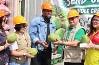 Philippines ships 32,000 coconuts to Liberia