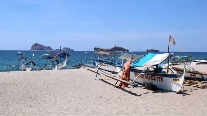 TIEZA plans P47.1-M floating docks