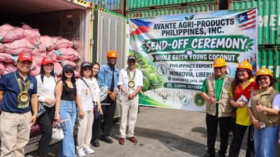 MARKING a historic milestone for the local coconut industry, the Department of Agriculture-Regional Field Office 11 and Avante Agri-Products Philippines Inc. officially dispatched the country’s first-ever export of whole green fresh young coconuts to Monrovia, Republic of Liberia.
