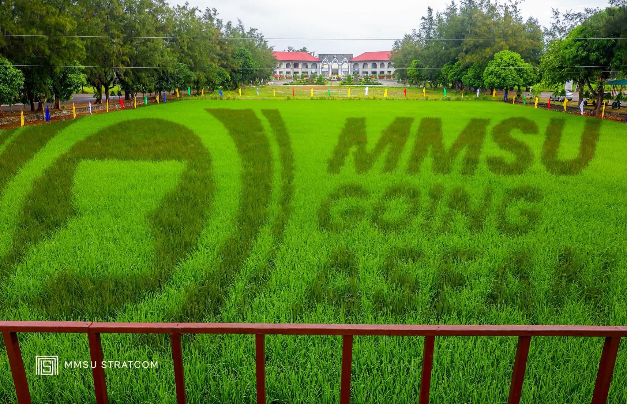 MMSU, PhilRice unveil ASEAN-inspired rice art