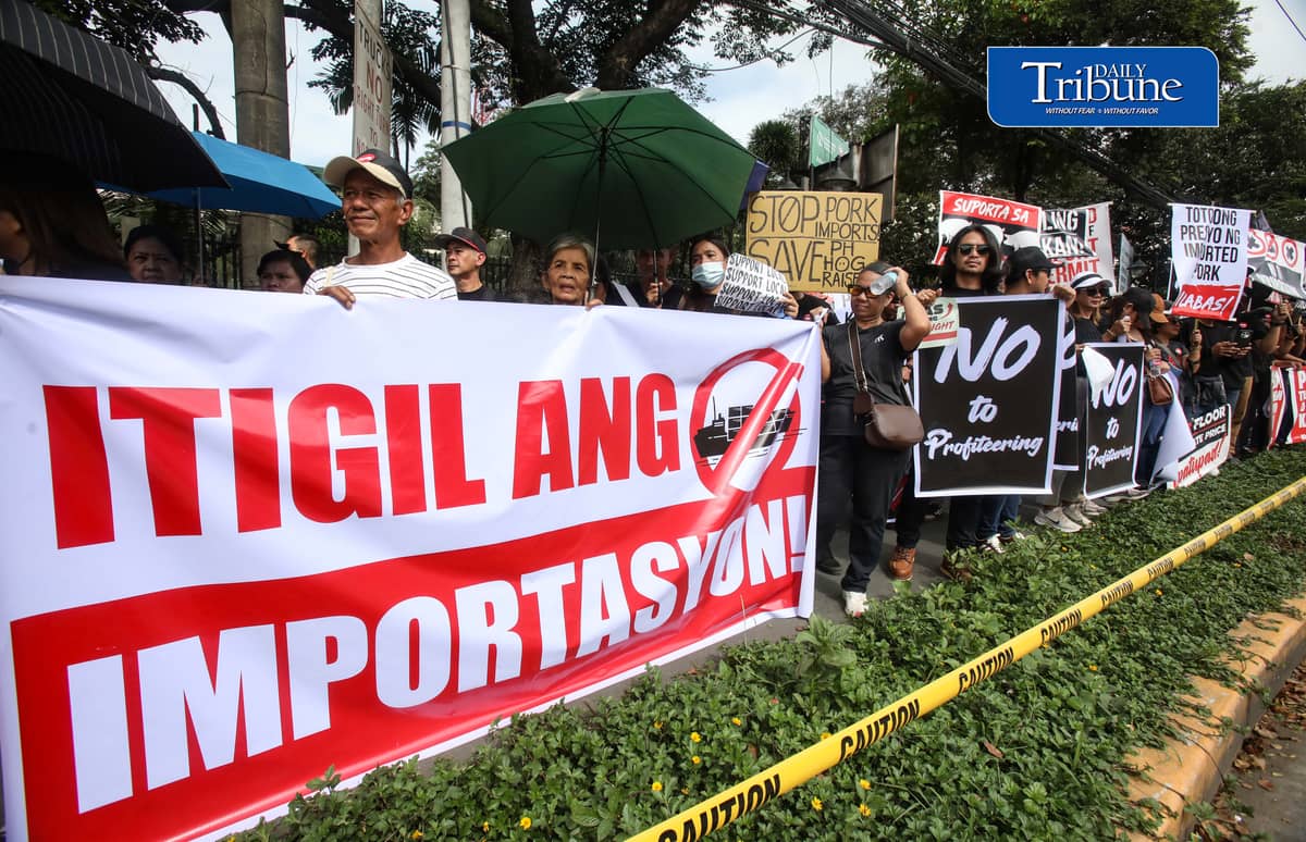 (October 23 2026) Hog raisers group from across the country gathered at the Department of Agriculture office in Quezon City to stage a peaceful rally to voice their grievances concerning the hog-raising industry. urging the government to take immediate action to protect the local hog industry, specially the alleged excessive influx of imported pork, according to them the industry was losing approximately P250 million per day, the farmgate price of pork has plummeted to between P130 and P140 per kilogram in some areas, while the estimated cost of production stands at P180 to P190 per kilogram. Photo/Analy Labor