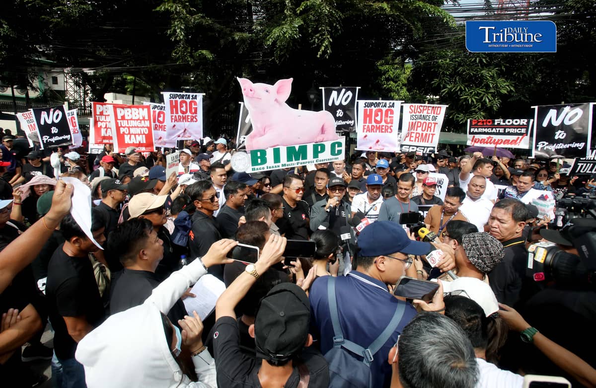 (October 23 2026) Hog raisers group from across the country gathered at the Department of Agriculture office in Quezon City to stage a peaceful rally to voice their grievances concerning the hog-raising industry. urging the government to take immediate action to protect the local hog industry, specially the alleged excessive influx of imported pork, according to them the industry was losing approximately P250 million per day, the farmgate price of pork has plummeted to between P130 and P140 per kilogram in some areas, while the estimated cost of production stands at P180 to P190 per kilogram. Photo/Analy Labor