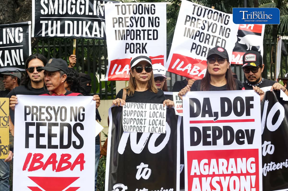 (October 23 2026) Hog raisers group from across the country gathered at the Department of Agriculture office in Quezon City to stage a peaceful rally to voice their grievances concerning the hog-raising industry. urging the government to take immediate action to protect the local hog industry, specially the alleged excessive influx of imported pork, according to them the industry was losing approximately P250 million per day, the farmgate price of pork has plummeted to between P130 and P140 per kilogram in some areas, while the estimated cost of production stands at P180 to P190 per kilogram. Photo/Analy Labor