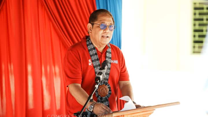 Ilocos Norte Rep. Barba receives leadership award