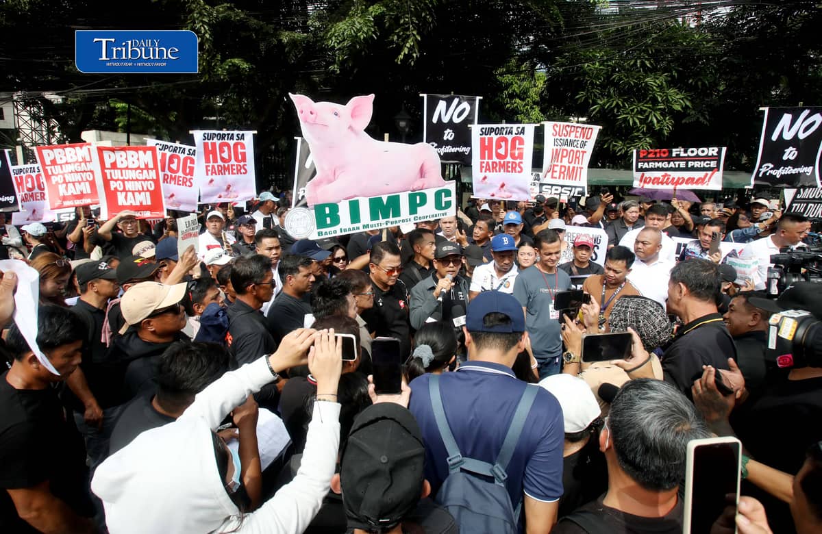 (October 23 2026) Hog raisers group from across the country gathered at the Department of Agriculture office in Quezon City to stage a peaceful rally to voice their grievances concerning the hog-raising industry. urging the government to take immediate action to protect the local hog industry, specially the alleged excessive influx of imported pork, according to them the industry was losing approximately P250 million per day, the farmgate price of pork has plummeted to between P130 and P140 per kilogram in some areas, while the estimated cost of production stands at P180 to P190 per kilogram. Photo/Analy Labor