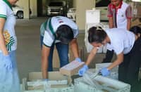 DA targets 117,000 pets for rabies shots