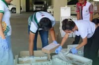 DA targets 117,000 pets for rabies shots