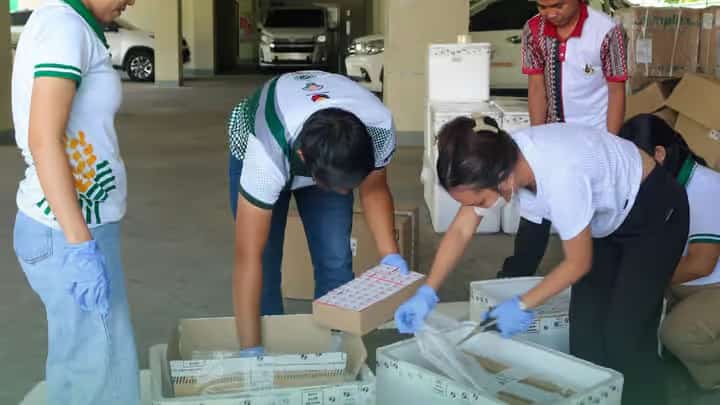 DA targets 117,000 pets for rabies shots