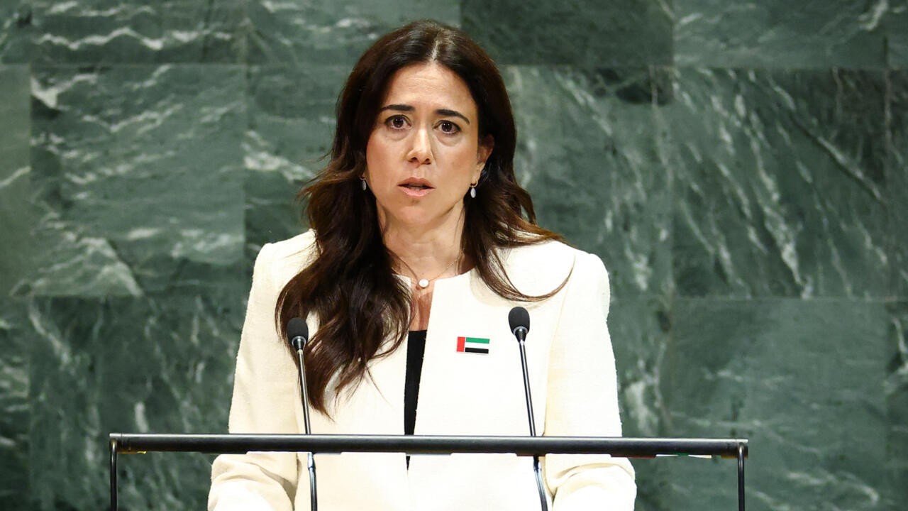 UAE diplomat eyes U.N.’s top job