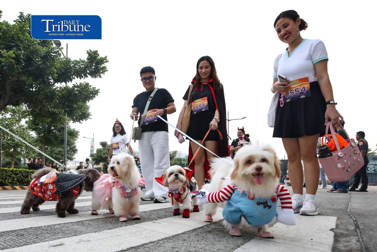 (October 24 2026) Pets and furparents wear halloween costumes as they join the Pet Lover’s Calentre Spooky Walkathon 2026 at the Bridgetowne Destination Estate in Pasig City on Saturday, October 24, 2026. Photo/Analy Labor