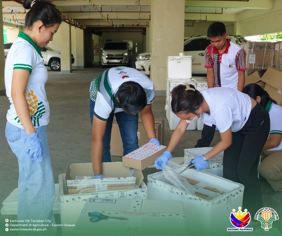 Eastern Visayas rolls out mass anti-rabies vaccination