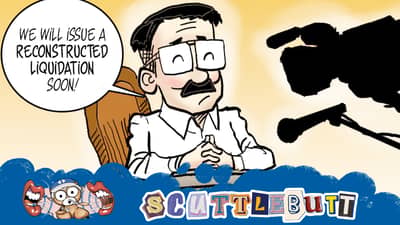 Whitewashing public funds?