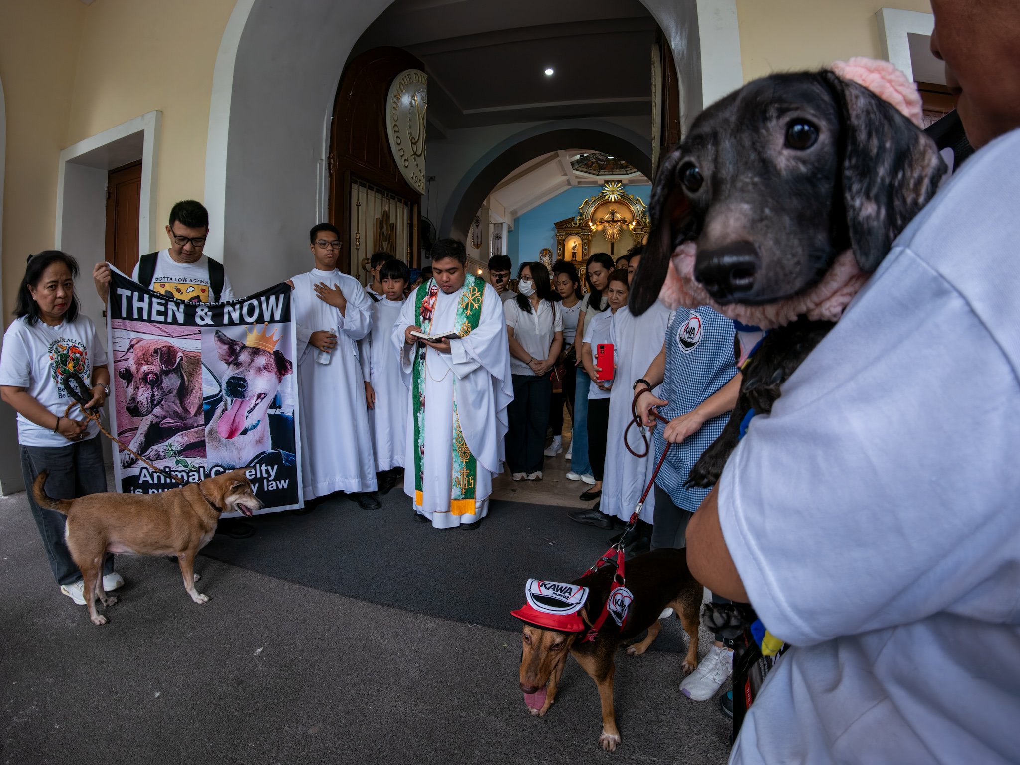 ANIMAL ADVOCATES MARCH FOR STRONGER PROTECTION