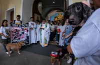 ANIMAL ADVOCATES MARCH FOR STRONGER PROTECTION