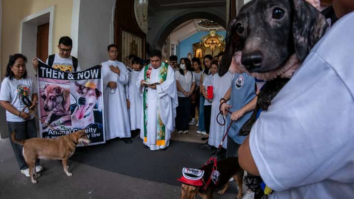 ANIMAL ADVOCATES MARCH FOR STRONGER PROTECTION