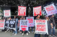 Local hog industry deserves protection