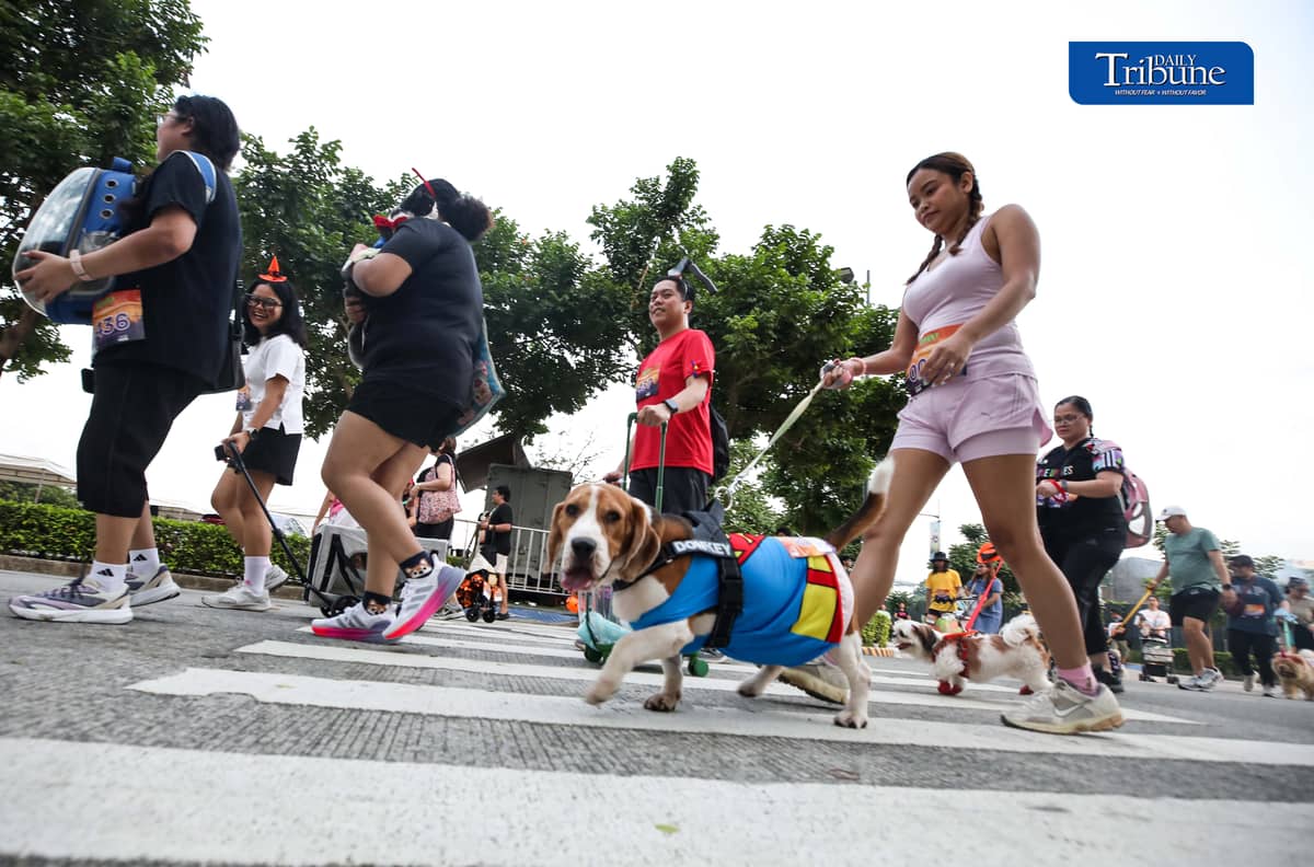 (October 24 2026) Pets and furparents wear halloween costumes as they join the Pet Lover’s Calentre Spooky Walkathon 2026 at the Bridgetowne Destination Estate in Pasig City on Saturday, October 24, 2026. Photo/Analy Labor