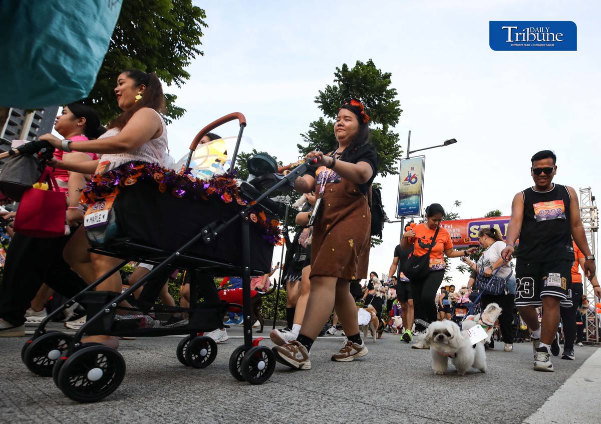 (October 24 2026) Pets and furparents wear halloween costumes as they join the Pet Lover’s Calentre Spooky Walkathon 2026 at the Bridgetowne Destination Estate in Pasig City on Saturday, October 24, 2026. Photo/Analy Labor