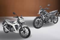 Suzuki adds Shadow to Raider