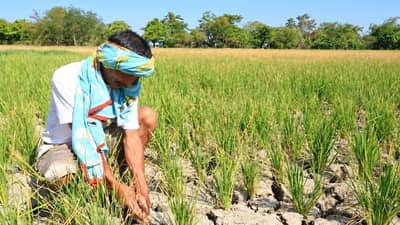 UN, gov’t agencies bare actions to Very Strong El Niño