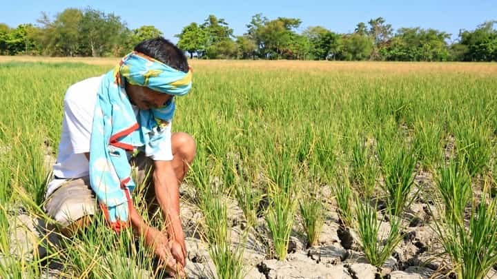PAGASA is still developing its impact-based forecasting and early warning system for drought.