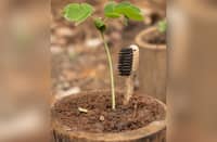 THERE is more to the plantable bamboo toothbrush than promoting dental health.