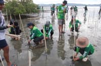 ONE hundred participants from partner agencies, organizations, barangay officials and Aurora State College of Technology students planted 3,000 Bungalon seedlings in support of mangrove conservation and coastal ecosystem restoration at Sitio Disugon, Barangay Tinib, Casiguran, Aurora.