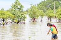 CARBON markets provide an additional channel for private capital and international climate finance.