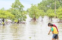 CARBON markets provide an additional channel for private capital and international climate finance.