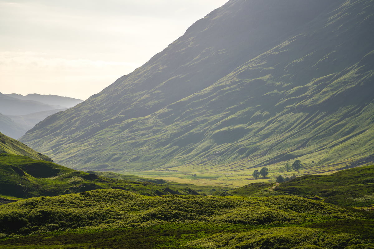 Scaling up investment in nature-based solutions