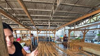 Villar Foundation marks two decades of environmental action