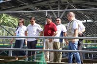 PBBM inaugurates solar irrigation project for 307 farmers in Cagayan