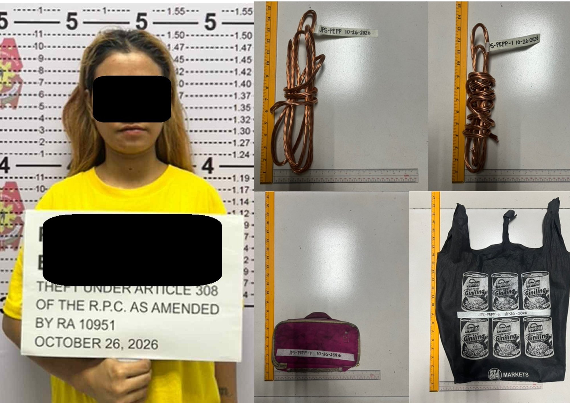 Suspect arrested for stealing electrical wires from gov’t-owned lighting system