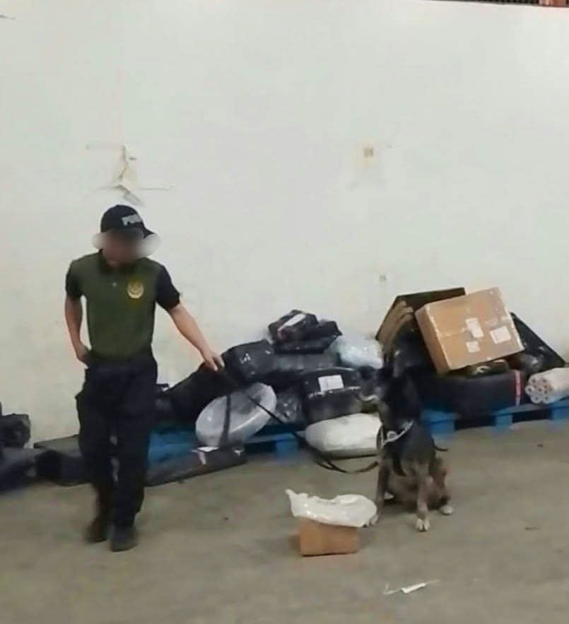 Parcel of kush discovered in Baguio 
