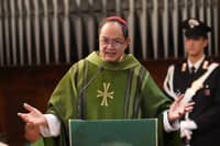Cardinal David urges Senate to remove budget insertions
