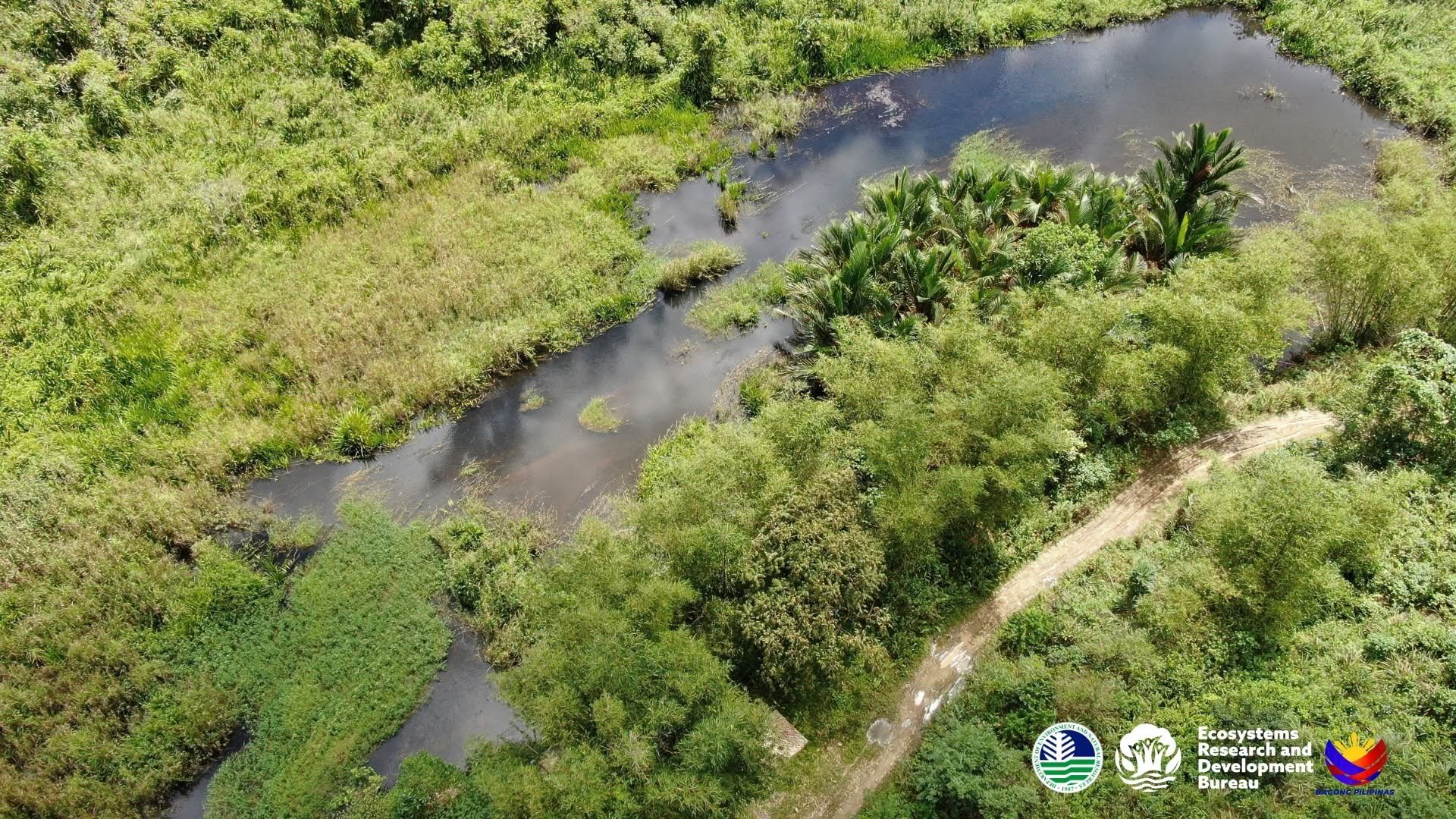 DENR confirms second peatland in Leyte, bringing national total to 28