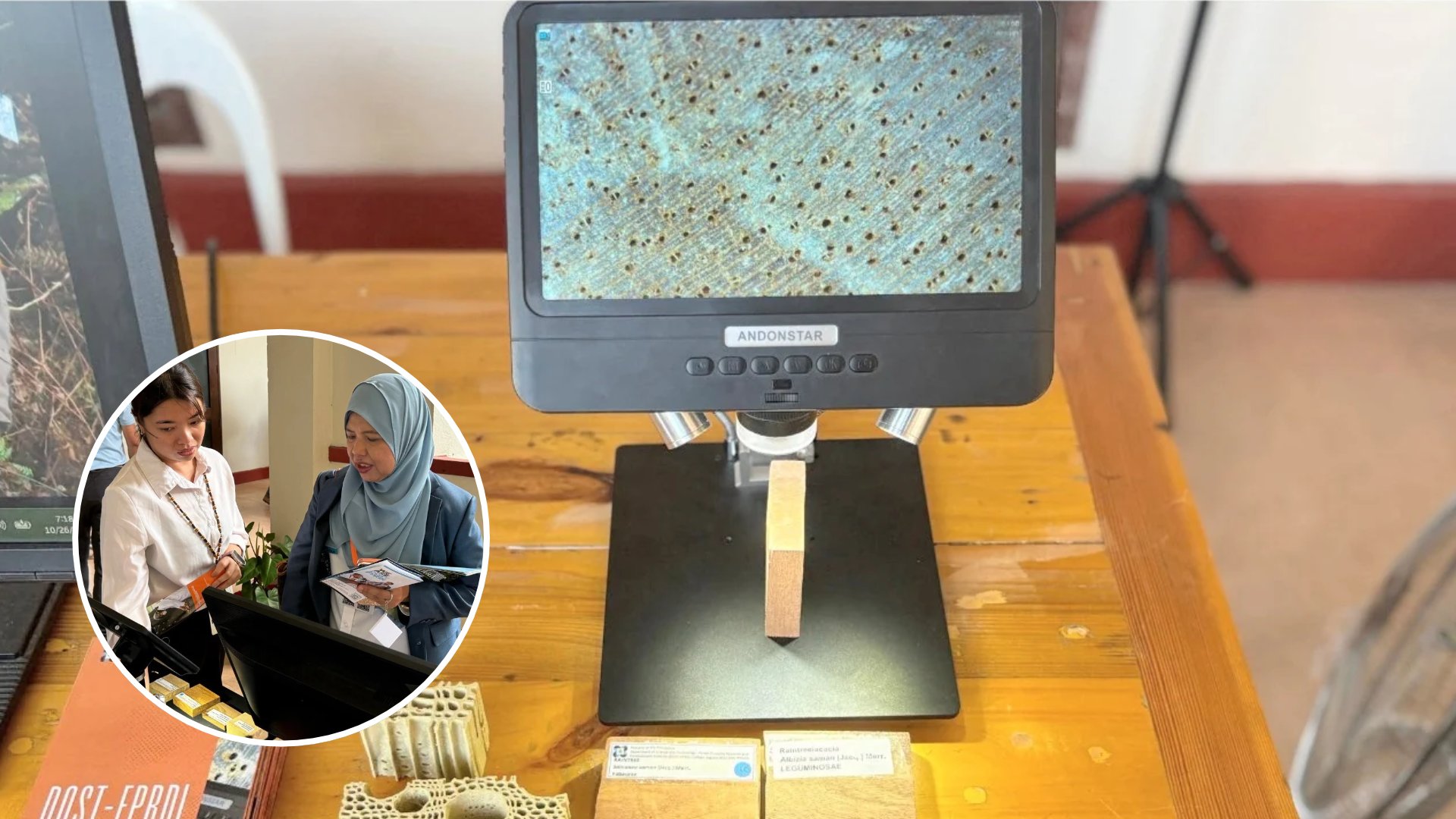 DoST lab identifies tree species through wood DNA