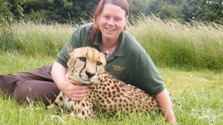 Dutch zookeeper dies after leopard mauling