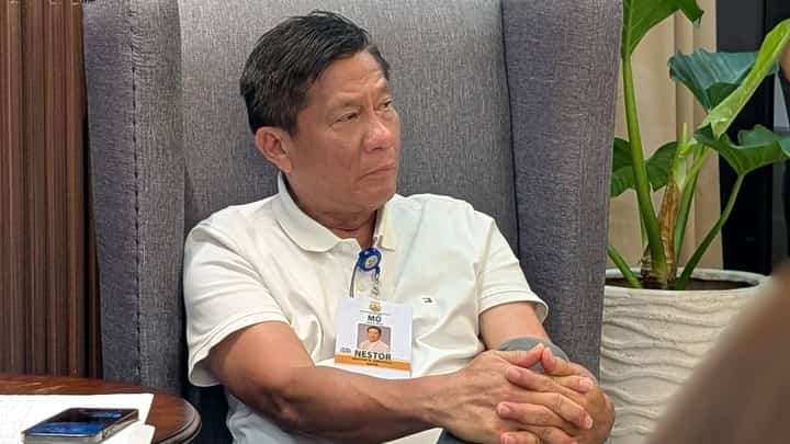 CEBU City Mayor Nestor Archival