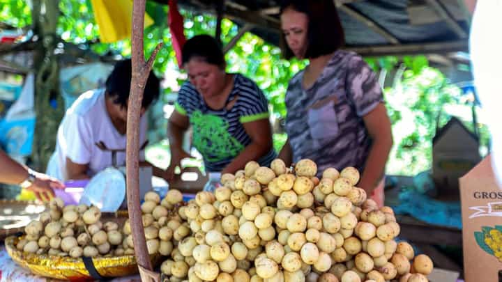 ONLY one petty pickpocketing incident was reported during the 47th Lanzones Festival in Camiguin, according to the Police Regional Office 10 on Wednesday, as authorities monitored public safety during the province’s major annual celebration.
