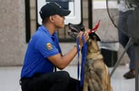 A K9 handler from the Philippine National Police keeps watch alongside his trained service dog, wearing seasonal Christmas accessories, during a routine security inspection on Thursday.