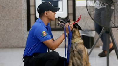 PNP K9 Unit depletion threatens security operations, says CoA