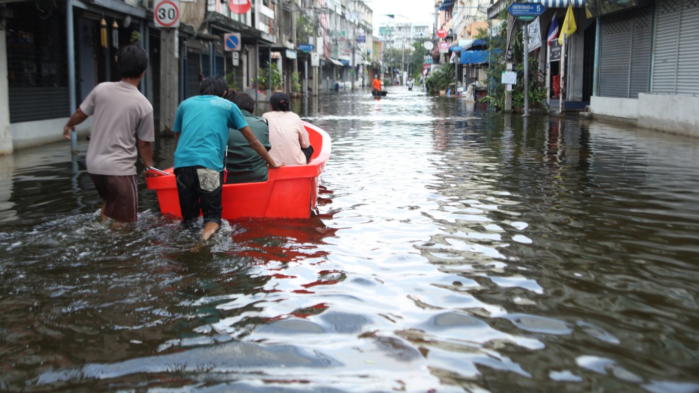 Leptospirosis infections plunge