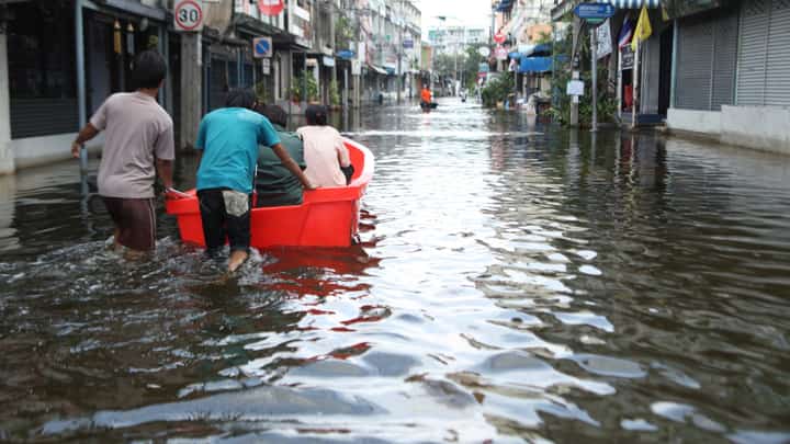 Leptospirosis infections plunge