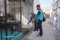 Marikina to vaccinate, neuter stray animals ahead of Undas