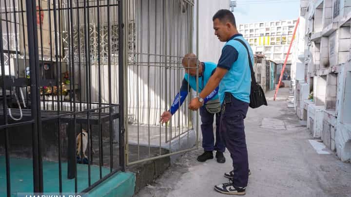 Marikina to vaccinate, neuter stray animals ahead of Undas