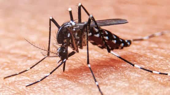 DENGUE cases are on the rise nationwide, prompting the Department of Health to flag 14 provinces and highly urbanized cities across 10 regions for heightened concern.